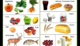 كسر مكونات النظام الغذائي الناجح في العصر الحجري القديم