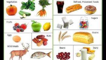 كسر مكونات النظام الغذائي الناجح في العصر الحجري القديم