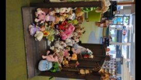 مبيت الحيوانات الصغيرة: إنشاء إعداد ليلي مريح