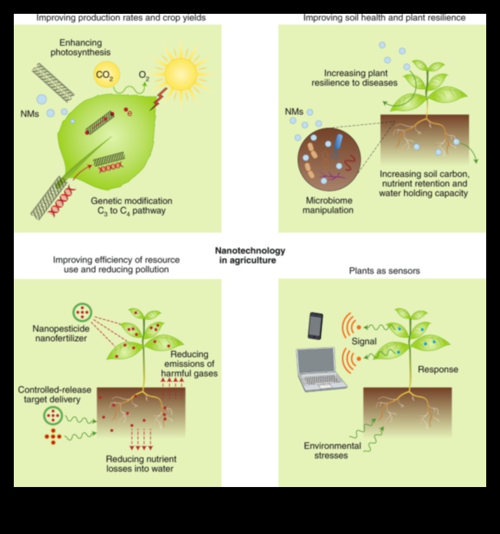 صياغة تصميمات النانو المؤثرة: دليل احترافي للحلول الدقيقة