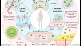 صياغة تصميمات النانو المؤثرة: دليل احترافي للحلول الدقيقة