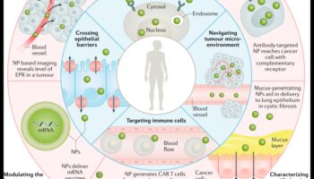 صياغة تصميمات النانو المؤثرة: دليل احترافي للحلول الدقيقة