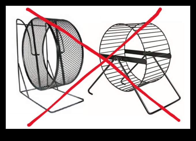 عجلة المرح: اختيار أفضل عجلة تمرين للهامستر الخاص بك