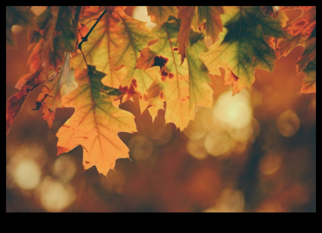 هالة الخريف: تقنيات تصوير ألوان الخريف الدافئة