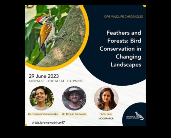 سجلات الحفاظ على الطيور: الجهود المبذولة لحماية الأنواع المهددة بالانقراض