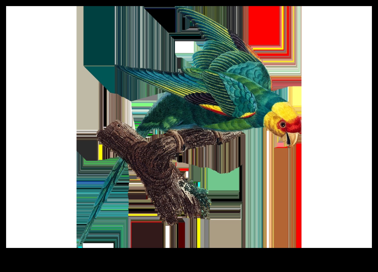 سجلات الحفاظ على الطيور: الجهود المبذولة لحماية الأنواع المهددة بالانقراض