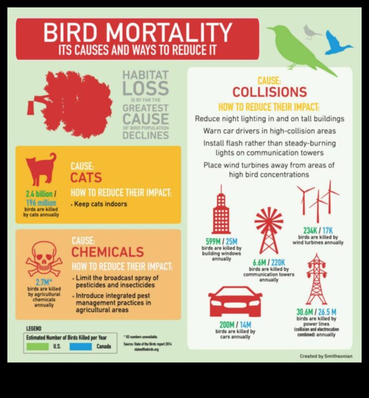 سجلات الحفاظ على الطيور: الجهود المبذولة لحماية الأنواع المهددة بالانقراض