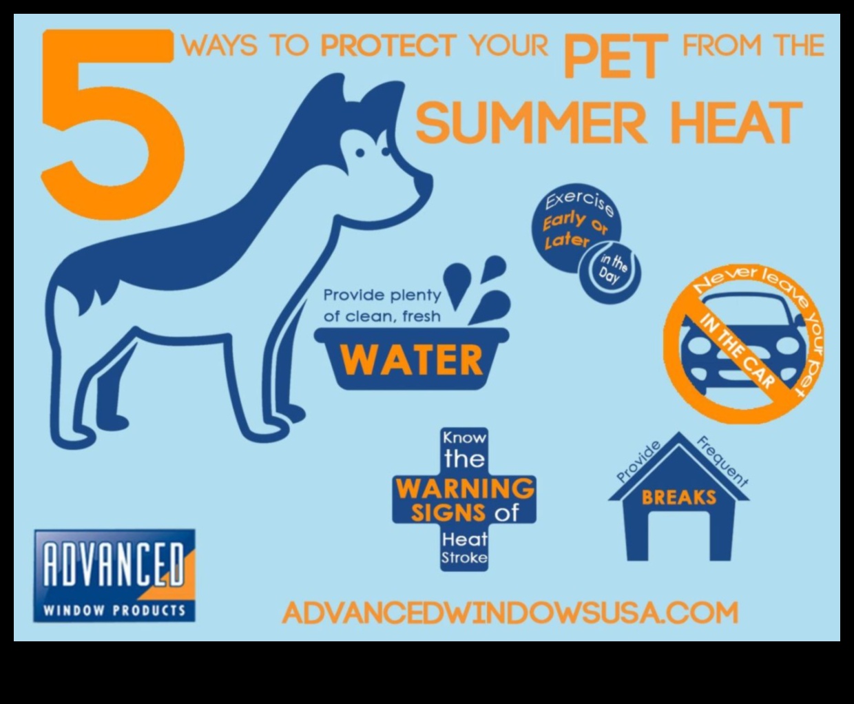 نصائح للسلامة في الصيف: حماية حيوانك الأليف من الحرارة