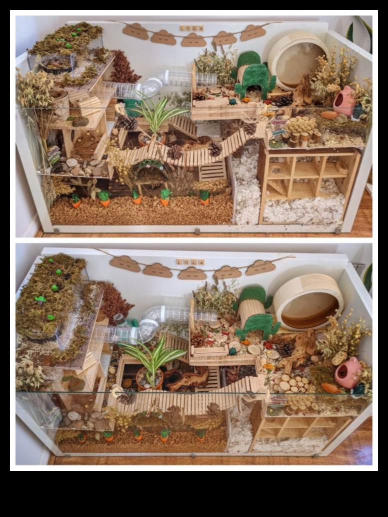 تابع منازل الهامستر التي تصنعها بنفسك: بناء إعدادات أقفاص متعددة الوظائف