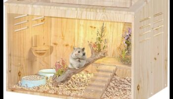 تابع منازل الهامستر التي تصنعها بنفسك: بناء إعدادات أقفاص متعددة الوظائف