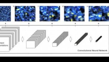 الفن في ML: إتقان حرفة حقائق التعلم