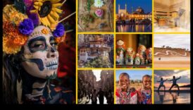 الكلية الاجتماعية: تجميع جمال الروابط الرقمية معًا