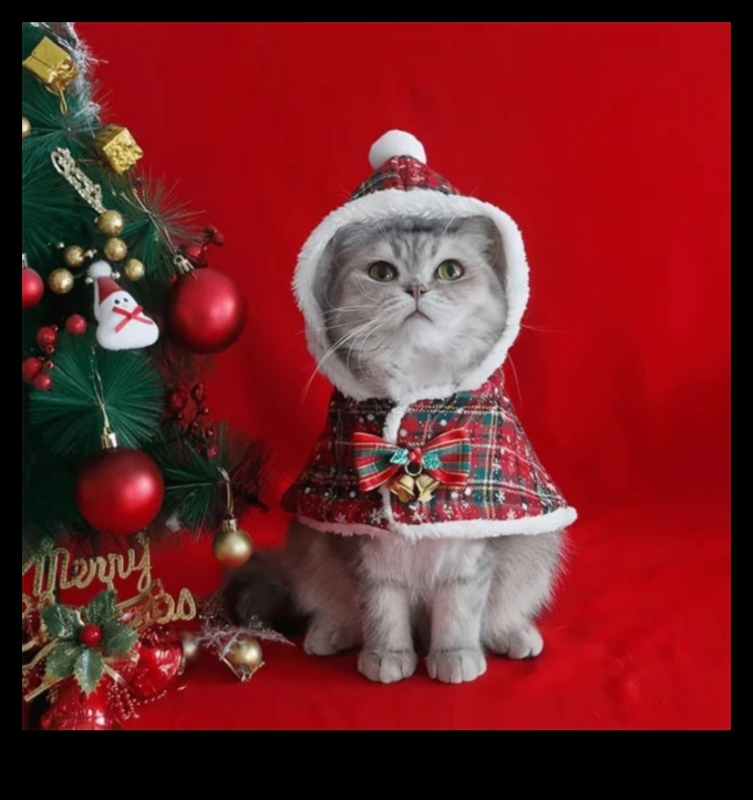 كات شيك: إكسسوار صديقك الماكر مع الذوق