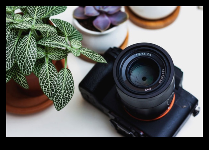 التقط صورًا مثالية: ارفع مستوى أعمالك الفنية باستخدام معدات الكاميرا المتميزة