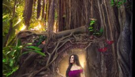 Flash Fantasia: قم بإضاءة لقطاتك باستخدام تقنيات الإضاءة المتقدمة