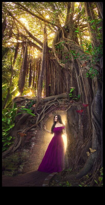 Flash Fantasia: قم بإضاءة لقطاتك باستخدام تقنيات الإضاءة المتقدمة