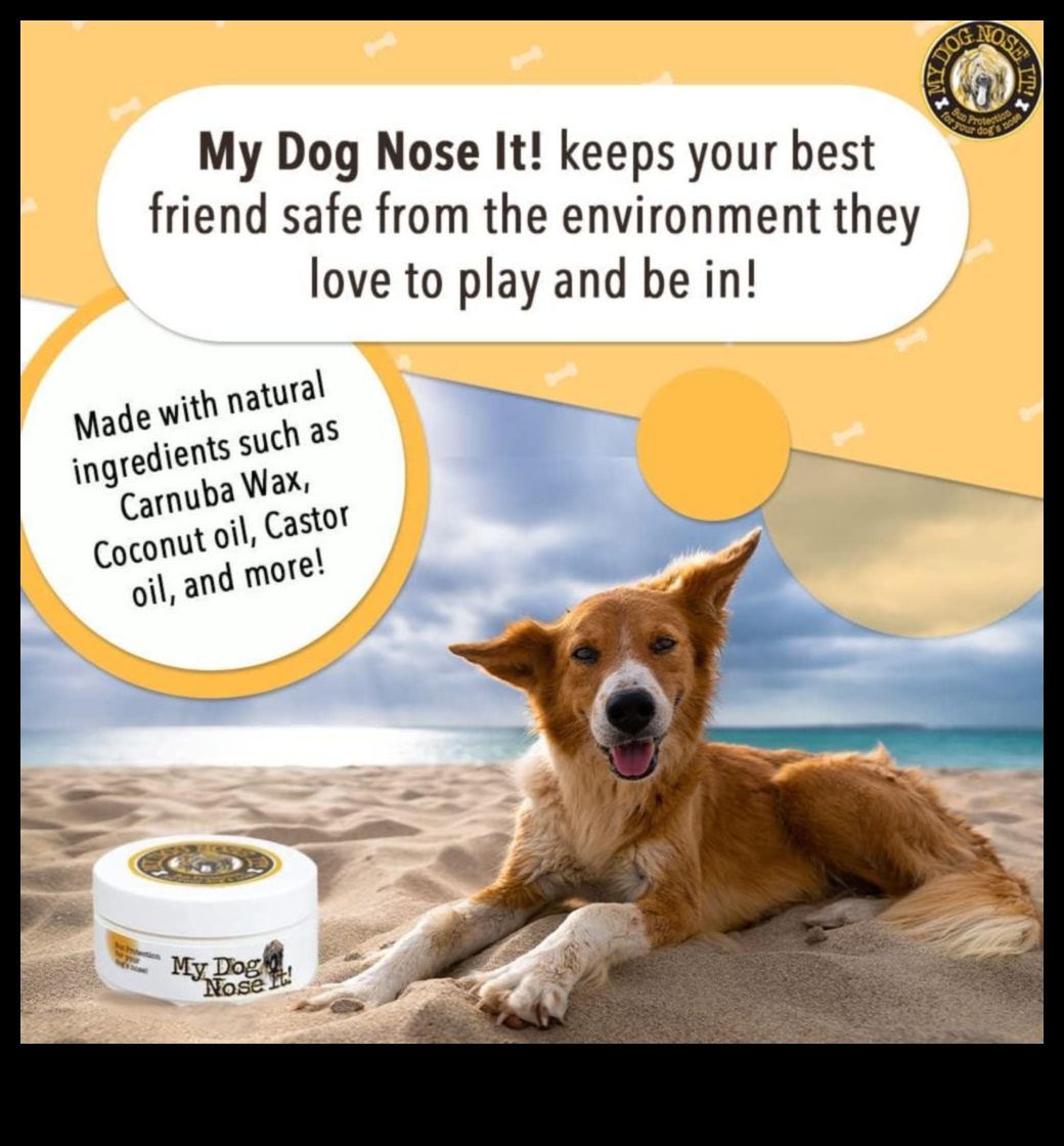 السلامة من الشمس للحيوانات الأليفة: حماية أصدقائك ذوي الفراء من الأشعة فوق البنفسجية الضارة