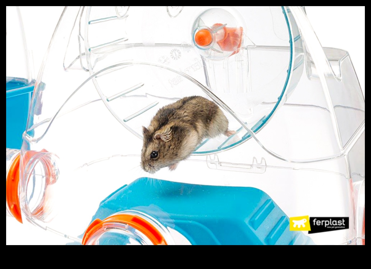 لعبة هامي الغميضة الرائعة: ألعاب تفاعلية للهامستر