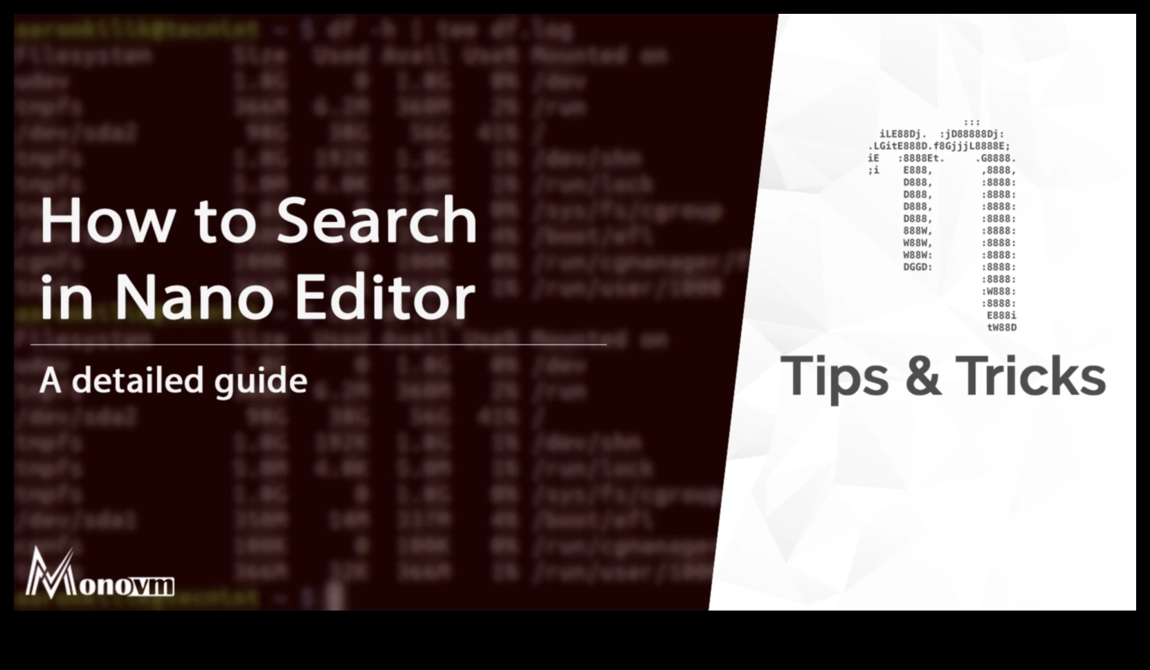 من المفهوم إلى كود النانو: دليل شامل لحلول النانو الاحترافية