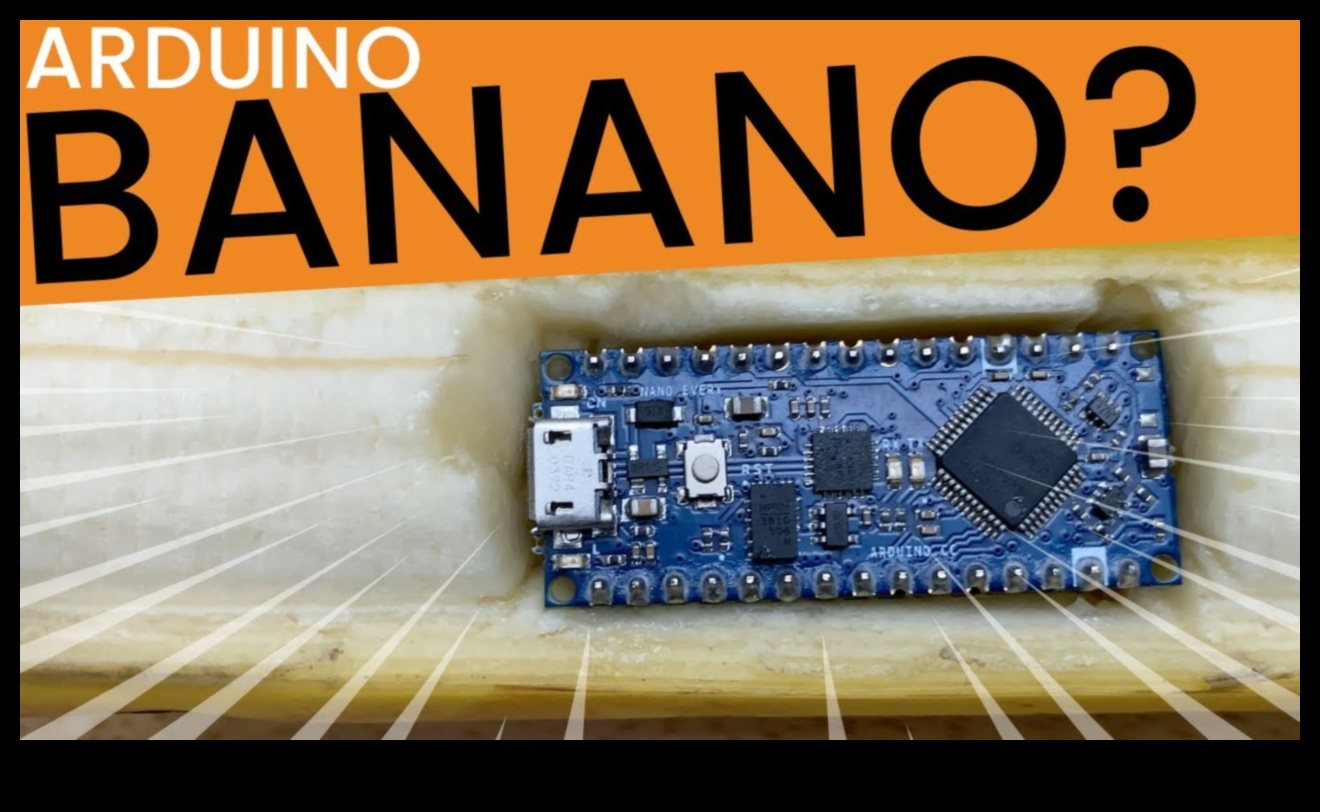 من المفهوم إلى كود النانو: دليل شامل لحلول النانو الاحترافية