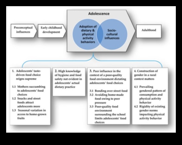 الأنظمة الغذائية قصيرة المدى وتأثير المنظورات الثقافية