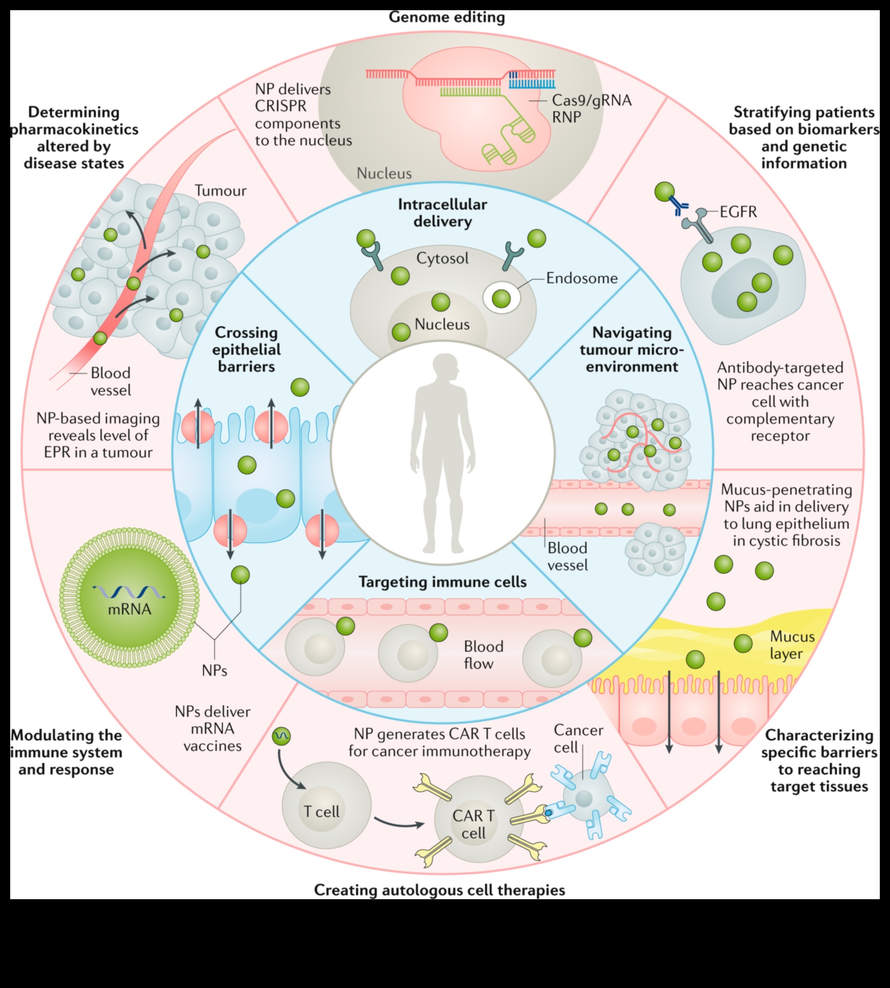 صياغة تصميمات النانو المؤثرة: دليل احترافي للحلول الدقيقة