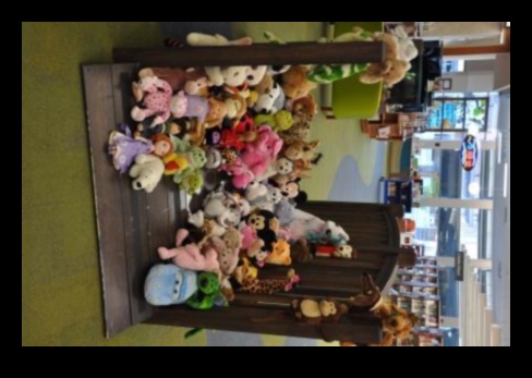 مبيت الحيوانات الصغيرة: إنشاء إعداد ليلي مريح